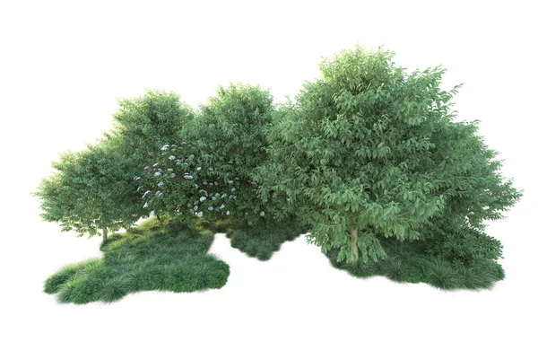Arbustos Verdes Aislados Fondo Representación Ilustración — Foto de Stock