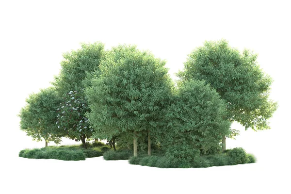 Arbustos Verdes Isolados Fundo Renderização Ilustração — Fotografia de Stock