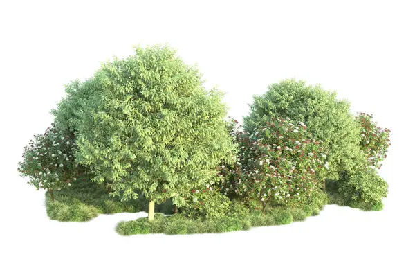 Arbustos Verdes Aislados Fondo Representación Ilustración —  Fotos de Stock