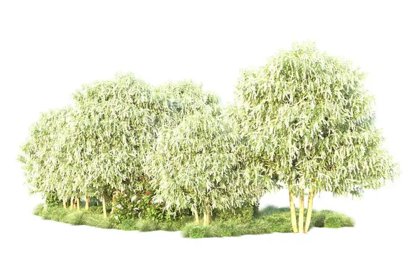 Arbustos Verdes Isolados Fundo Renderização Ilustração — Fotografia de Stock