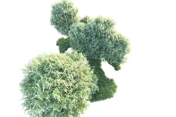 緑色の茂みは背景に隔離されています 3Dレンダリング イラスト — ストック写真