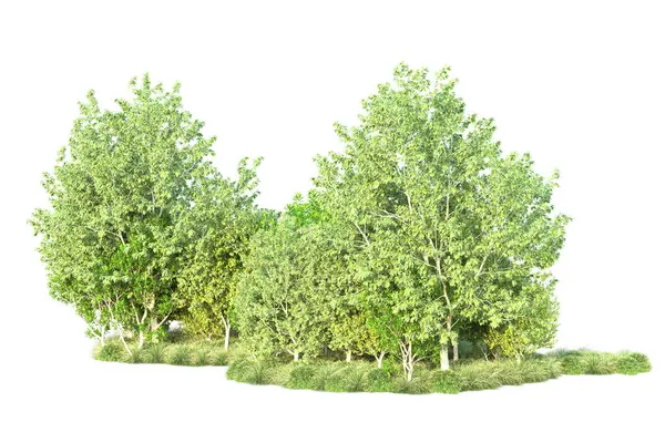 Arbustes Verts Isolés Sur Fond Blanc Rendu Illustration — Photo