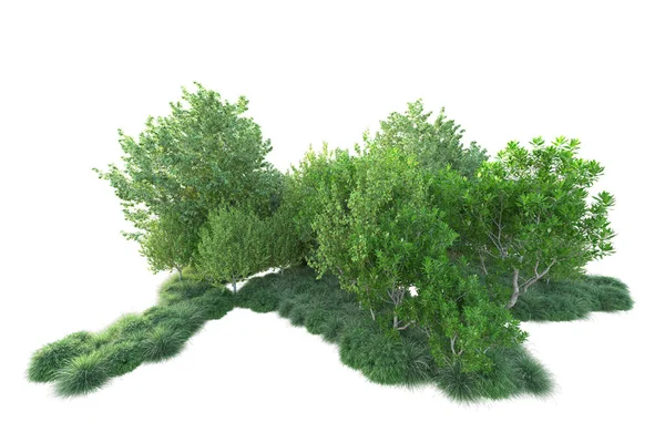 Arbustos Verdes Isolados Sobre Fundo Branco Renderização Ilustração — Fotografia de Stock