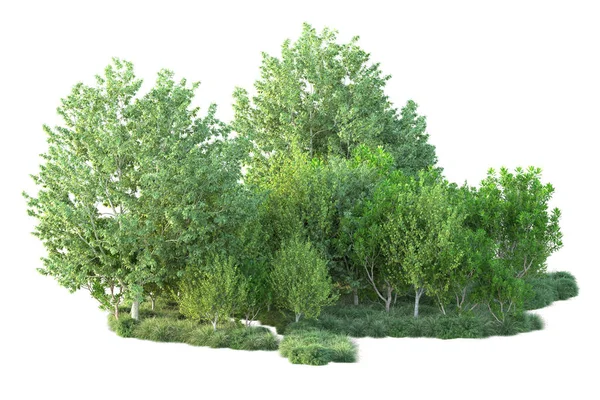 Grüne Büsche Isoliert Auf Weißem Hintergrund Darstellung Illustration — Stockfoto