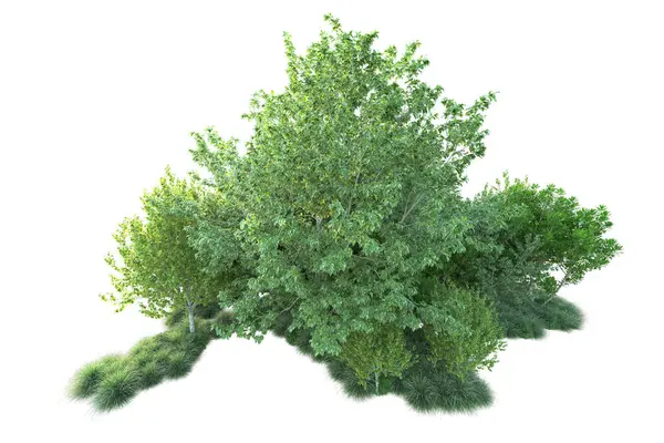 白い背景に隔離された緑の茂み 3Dレンダリング イラスト — ストック写真