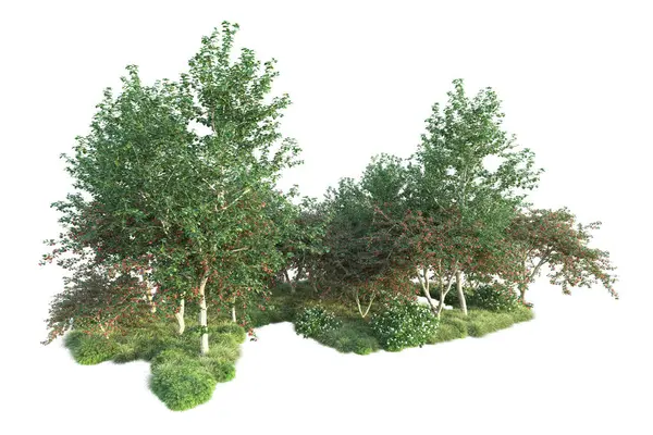 Arbustos Verdes Aislados Sobre Fondo Blanco Representación Ilustración —  Fotos de Stock