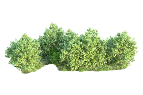 Gröna Buskar Isolerade Vit Bakgrund Återgivning Illustration — Stockfoto