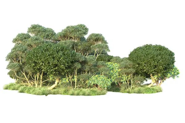 Arbustos Verdes Isolados Sobre Fundo Branco Renderização Ilustração — Fotografia de Stock