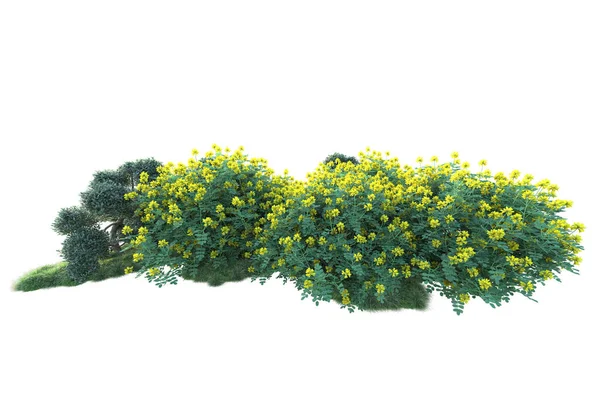 배경에 식물의 렌더링 — 스톡 사진