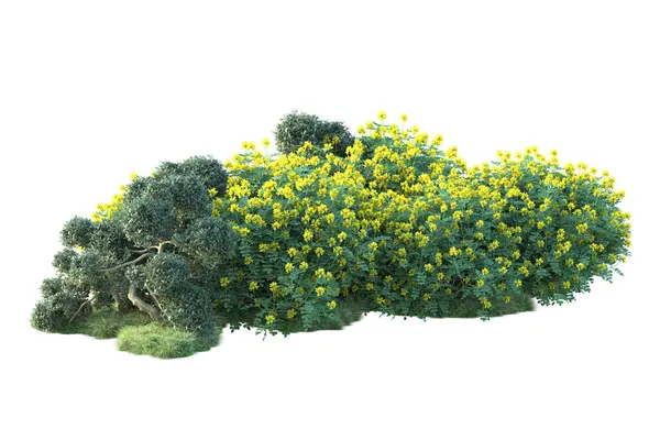 Beyaz arka planda yeşil çalılıklar izole edilmiş. Orman bitkilerinin 3D canlandırması