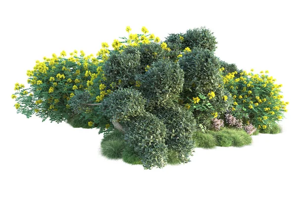 Beyaz arka planda yeşil çalılıklar izole edilmiş. Orman bitkilerinin 3D canlandırması