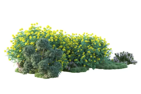 배경에 식물의 렌더링 — 스톡 사진