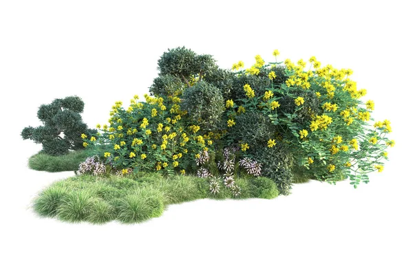 Beyaz arka planda yeşil çalılıklar izole edilmiş. Orman bitkilerinin 3D canlandırması