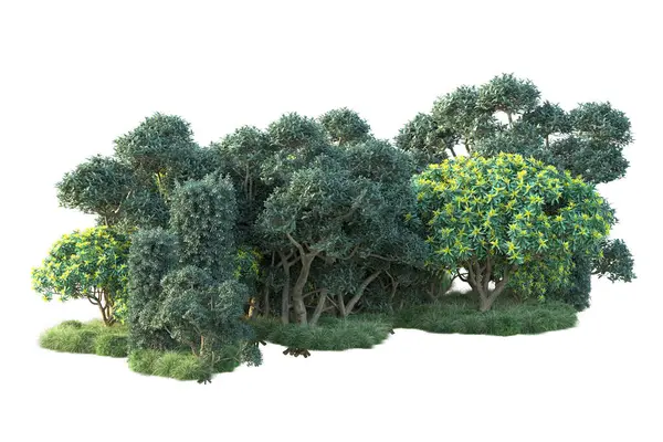 Arbustos Verdes Aislados Sobre Fondo Blanco Representación Plantas Forestales — Foto de Stock