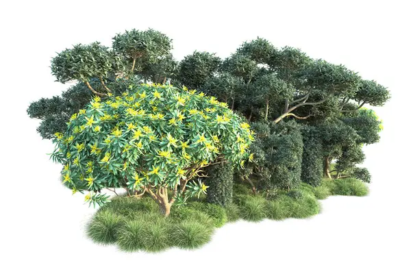 Beyaz arka planda yeşil çalılıklar izole edilmiş. Orman bitkilerinin 3D canlandırması