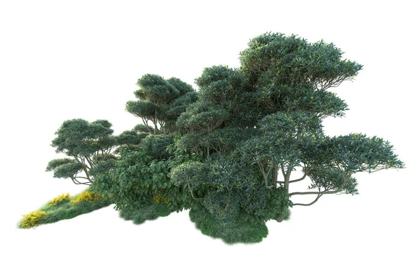 Gröna Buskar Isolerade Vit Bakgrund Konvertering Skogsväxter — Stockfoto