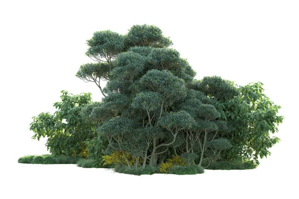 白色背景上隔离的绿色灌木丛 森林植物的3D渲染 — 图库照片