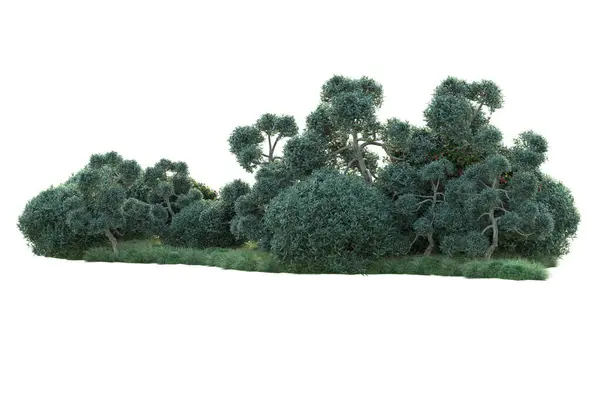 Arbustos Verdes Isolados Sobre Fundo Branco Renderização Plantas Florestais — Fotografia de Stock
