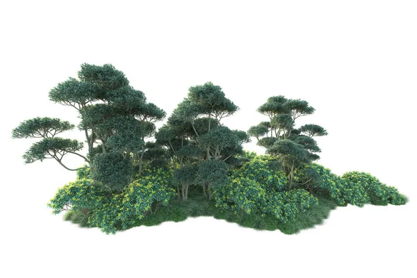 Зелені Кущі Ізольовані Білому Тлі Візуалізація Лісових Рослин — стокове фото