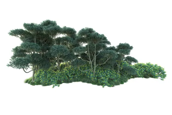 Beyaz Arka Planda Yeşil Çalılıklar Izole Edilmiş Orman Bitkilerinin Canlandırması — Stok fotoğraf