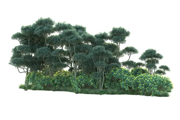 Zielone Krzewy Odizolowane Białym Tle Utylizacja Roślin Leśnych — Zdjęcie stockowe