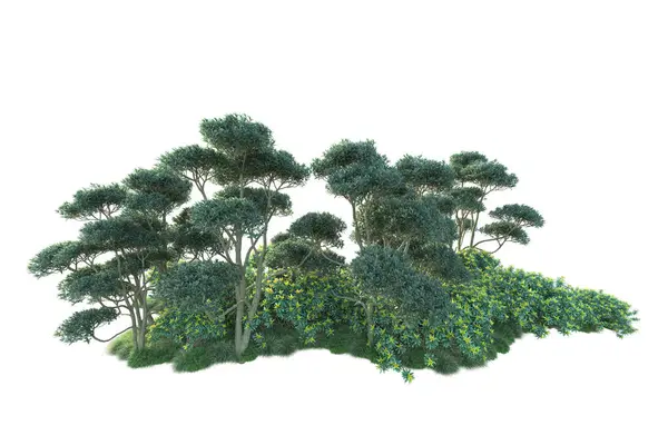 Groene Struiken Geïsoleerd Witte Achtergrond Destructie Van Bosplanten — Stockfoto
