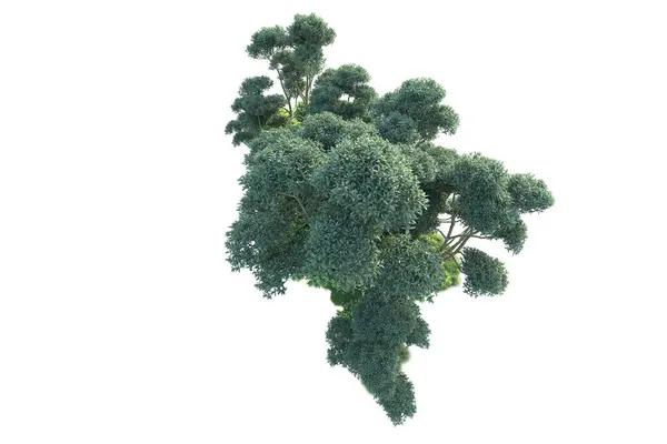 Beyaz Arka Planda Yeşil Çalılıklar Izole Edilmiş Orman Bitkilerinin Canlandırması — Stok fotoğraf