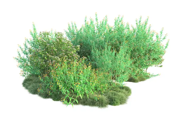 Green Bushes Isolated White Background Rendering Forest Plants — Stock Photo, Image