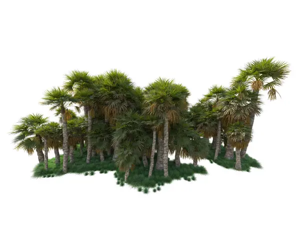 Arranjo Floresta Tropical Isolado Fundo Renderização Ilustração — Fotografia de Stock