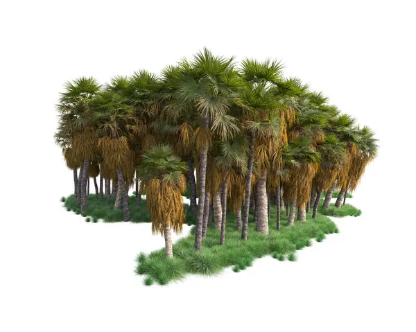 Tropenwald Anordnung Isoliert Hintergrund Darstellung Illustration — Stockfoto