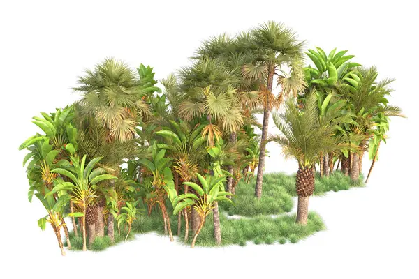 Arranjo Floresta Tropical Isolado Fundo Renderização Ilustração — Fotografia de Stock