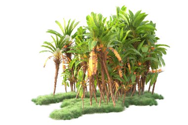 Arka planda izole edilmiş tropik orman düzeni. 3d görüntüleme - illüstrasyon