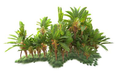 Arka planda izole edilmiş tropik orman düzeni. 3d görüntüleme - illüstrasyon