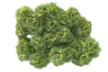 Arka planda izole edilmiş tropik orman düzeni. 3d görüntüleme - illüstrasyon