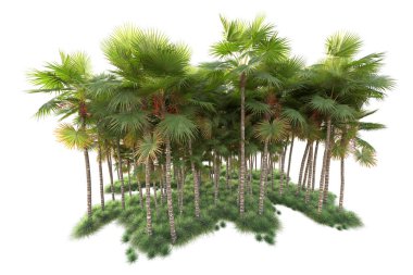 Arka planda izole edilmiş tropik orman düzeni. 3d görüntüleme - illüstrasyon