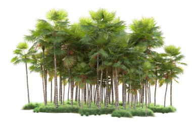 Arka planda izole edilmiş tropik orman düzeni. 3d görüntüleme - illüstrasyon