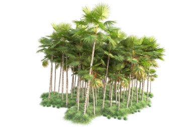 Arka planda izole edilmiş tropik orman düzeni. 3d görüntüleme - illüstrasyon