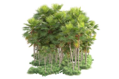 Arka planda izole edilmiş tropik orman düzeni. 3d görüntüleme - illüstrasyon