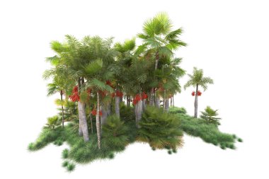 Arka planda izole edilmiş tropik orman düzeni. 3d görüntüleme - illüstrasyon