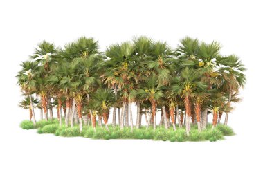 Arka planda izole edilmiş tropik orman düzeni. 3d görüntüleme - illüstrasyon