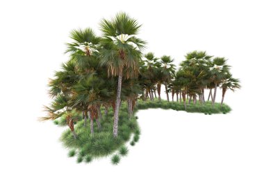 Arka planda izole edilmiş tropik orman düzeni. 3d görüntüleme - illüstrasyon