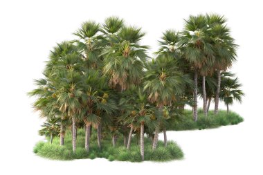 Arka planda izole edilmiş tropik orman düzeni. 3d görüntüleme - illüstrasyon