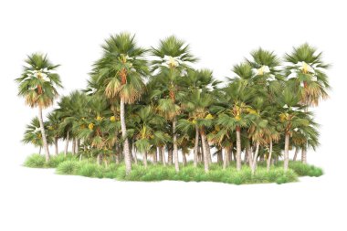 Arka planda izole edilmiş tropik orman düzeni. 3d görüntüleme - illüstrasyon