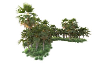 Arka planda izole edilmiş tropik orman düzeni. 3d görüntüleme - illüstrasyon