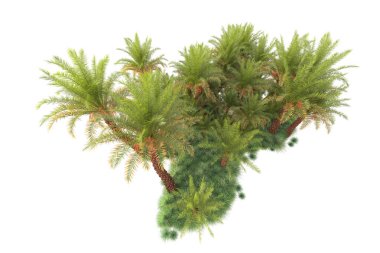 Arka planda izole edilmiş tropik orman düzeni. 3d görüntüleme - illüstrasyon