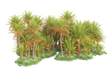 Arka planda izole edilmiş tropik orman düzeni. 3d görüntüleme - illüstrasyon