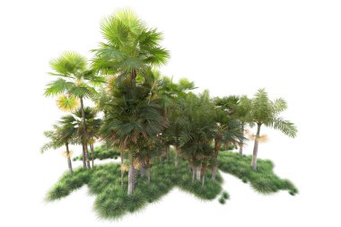 Arka planda izole edilmiş tropik orman düzeni. 3d görüntüleme - illüstrasyon