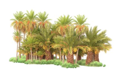 Arka planda izole edilmiş tropik orman düzeni. 3d görüntüleme - illüstrasyon