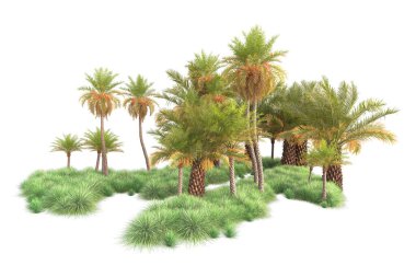 Arka planda izole edilmiş tropik orman düzeni. 3d görüntüleme - illüstrasyon