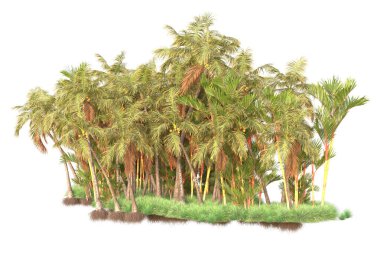Arka planda izole edilmiş tropik orman düzeni. 3d görüntüleme - illüstrasyon
